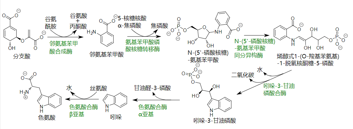 香精與香料(12)-琥珀香,動(dòng)物香,辛香,豆香(包括粉香)