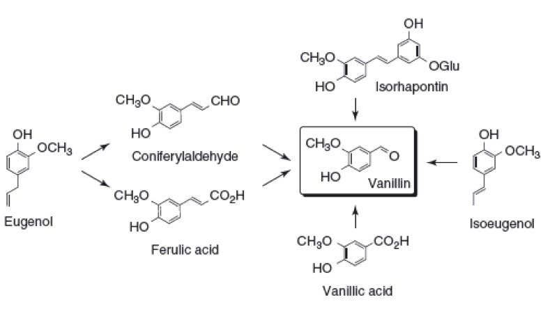 香精與香料(12)-琥珀香,動(dòng)物香,辛香,豆香(包括粉香)