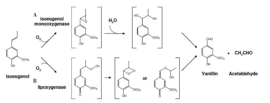 香精與香料(12)-琥珀香,動(dòng)物香,辛香,豆香(包括粉香)