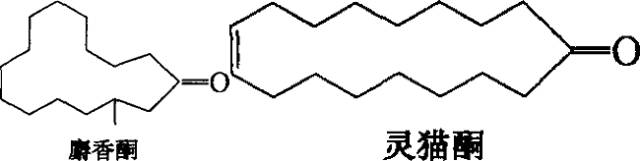 香水的香氣從何而來？