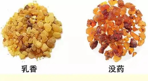 乳香，Boswellia Carterri Birdw 橄欖科
