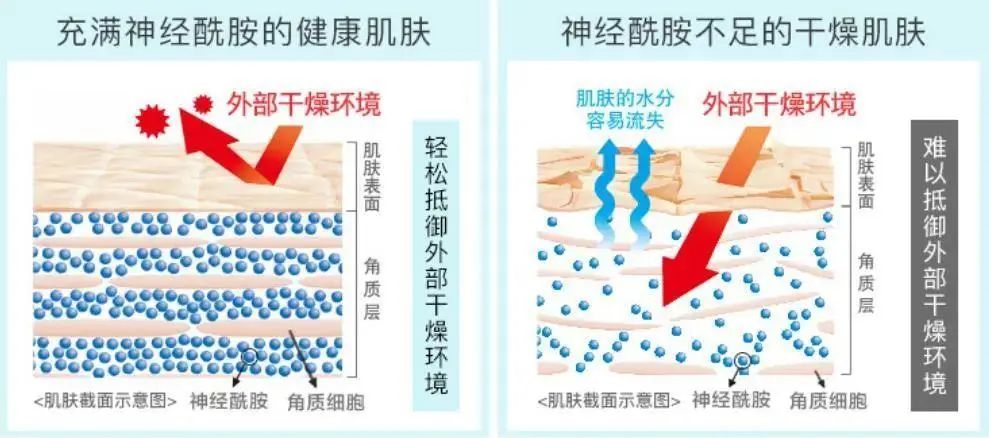 2022年護(hù)膚熱門功效成分有哪些？