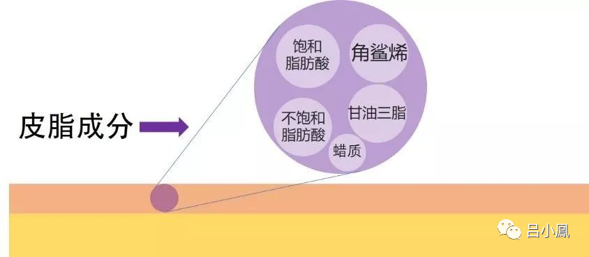 2022年護(hù)膚熱門功效成分有哪些？