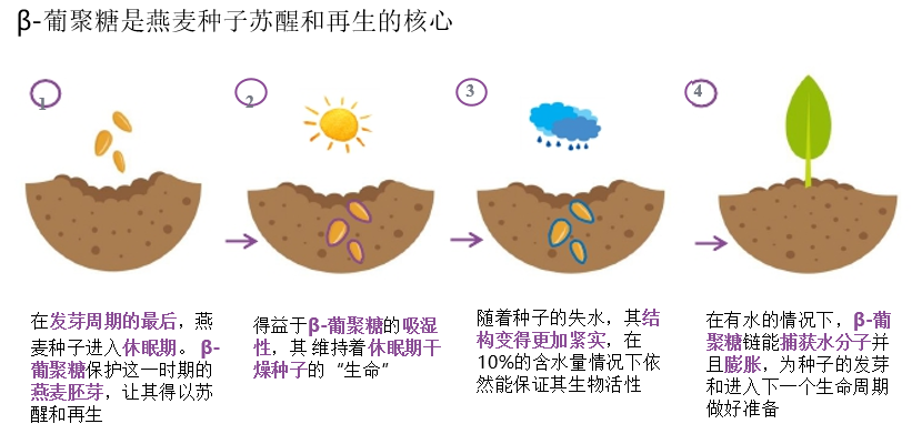 2022年護(hù)膚熱門功效成分有哪些？