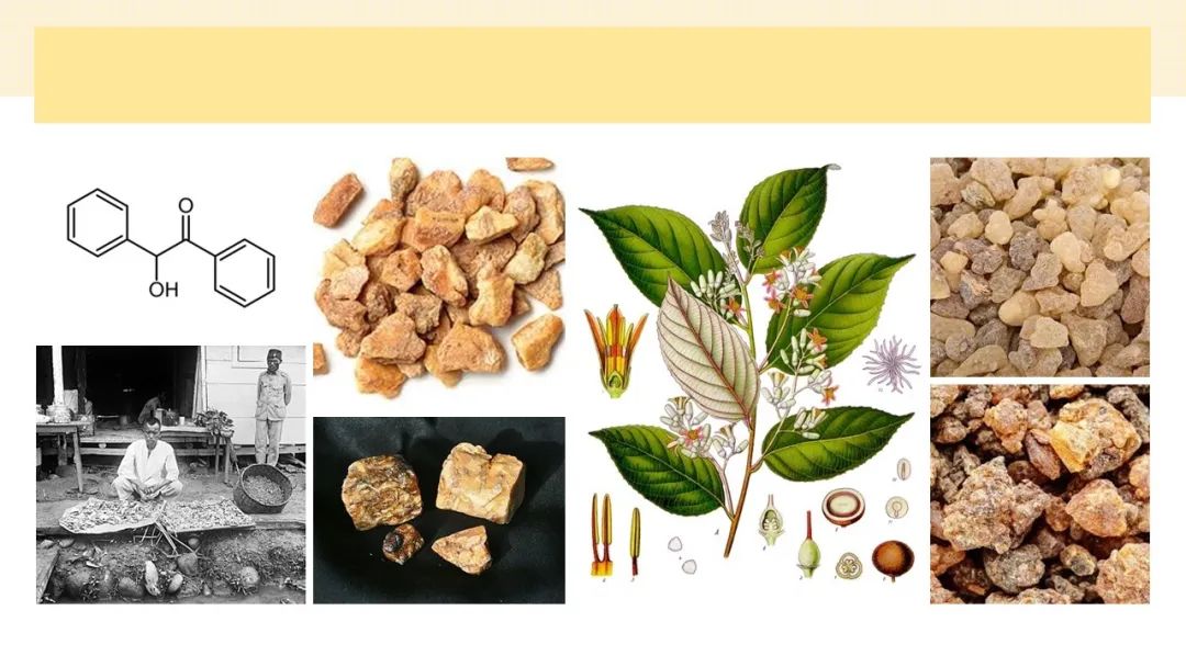 調(diào)香筆記(8)——50種常見(jiàn)的香水成分:氣味和起源