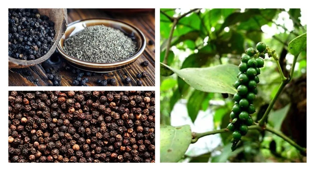 調(diào)香筆記(8)——50種常見(jiàn)的香水成分:氣味和起源