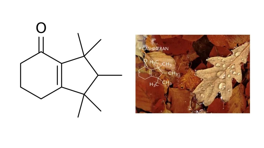 調(diào)香筆記(8)——50種常見(jiàn)的香水成分:氣味和起源