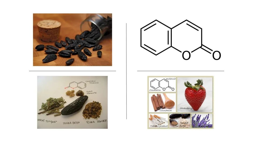 調(diào)香筆記(8)——50種常見(jiàn)的香水成分:氣味和起源