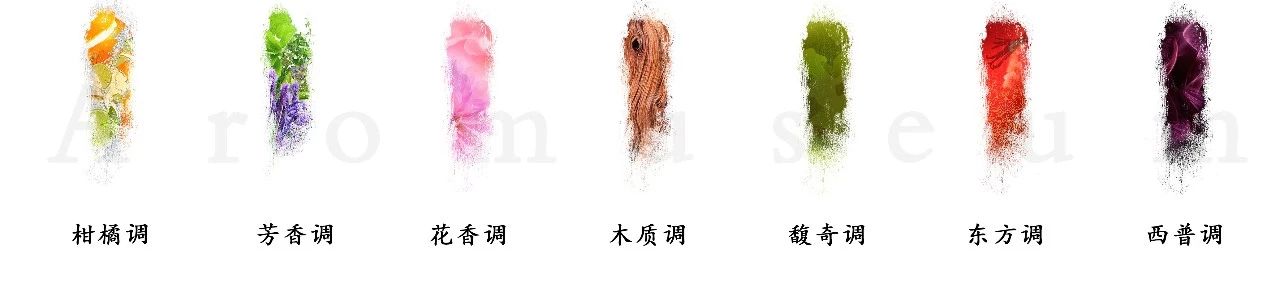 為什么有人一身果香，有人卻一身藿香？