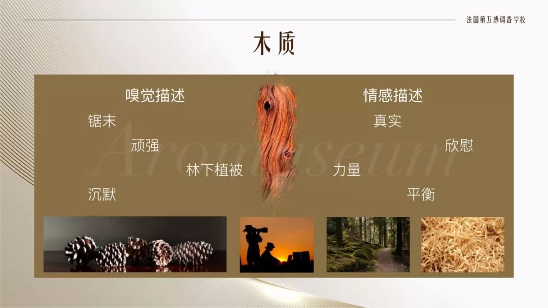 為什么有人一身果香，有人卻一身藿香？