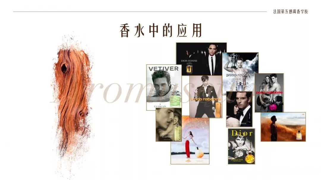 為什么有人一身果香，有人卻一身藿香？